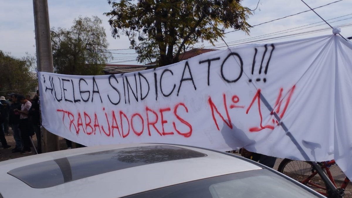 Odoo • Imagen y texto